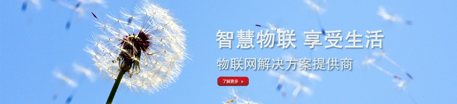 首页图片1